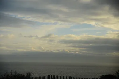 DSC_1340 (Large).JPG